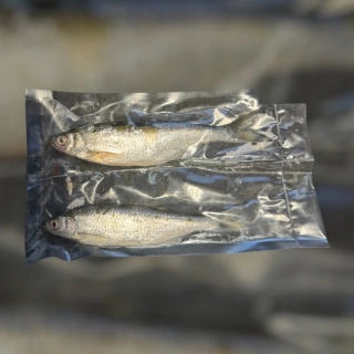 MRAŽENÁ NÁSTRAŽNÍ RYBIČKA OUKLEJ 15CM+2KUSY
